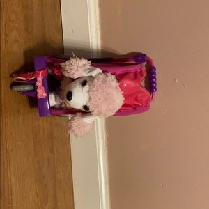 Pet Carrier And Two Pets